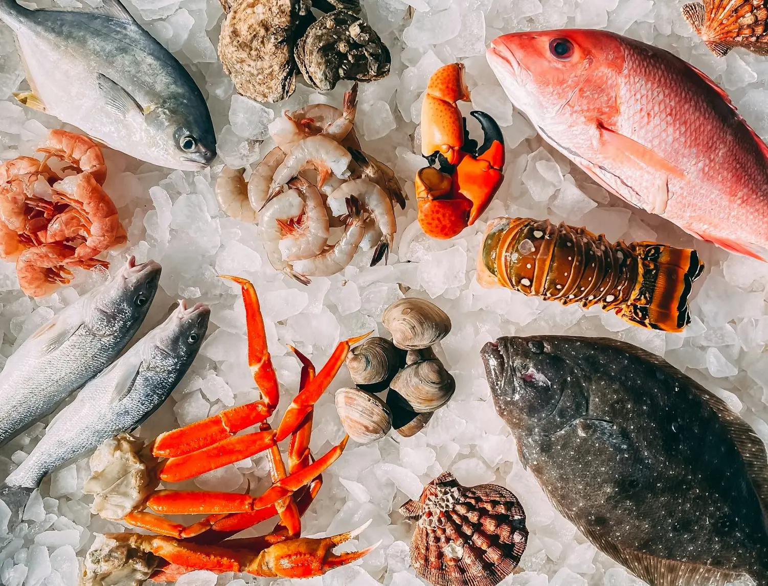 orange and white fish on white and black pebbles